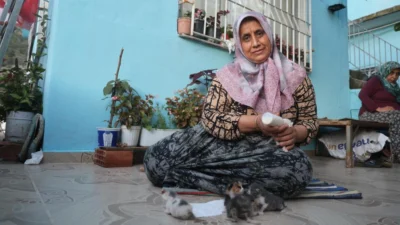 Hatay’ın Antakya ilçesinde annelerini kaybeden 5 yavru kediye sahip çıkan