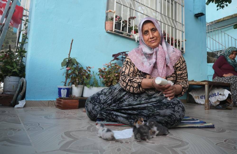 Hatay’ın Antakya ilçesinde annelerini kaybeden 5 yavru kediye sahip çıkan