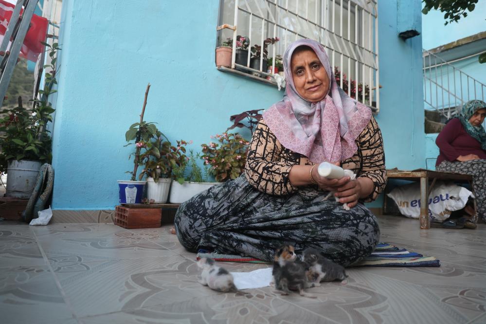 Hatay’ın Antakya ilçesinde annelerini kaybeden 5 yavru kediye sahip çıkan