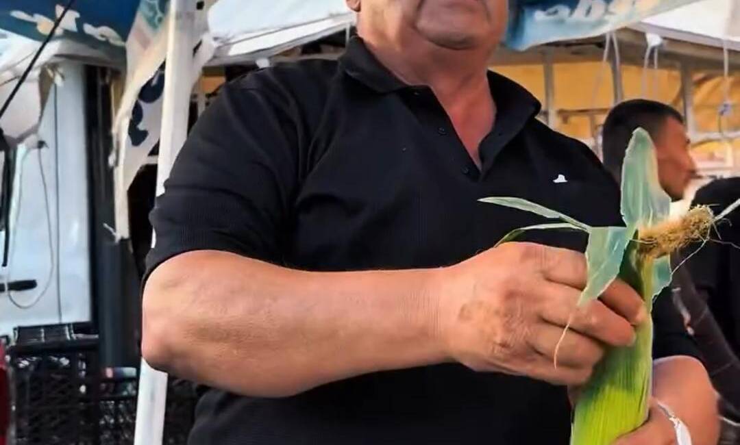 5 Mısır 100 TL’ ye alıcısı yok, İneklere mi yedirelim?...