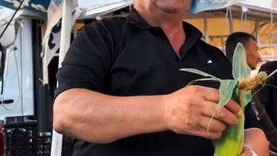 5 Mısır 100 TL’ ye alıcısı yok, İneklere mi yedirelim?...