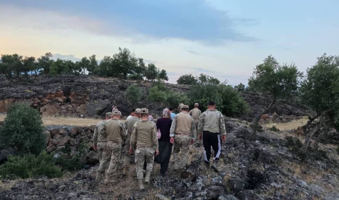 Hatay'ın Hassa ilçesinde sabah saatlerinde oğlaklarını otlatmak için meraya çıktıktan