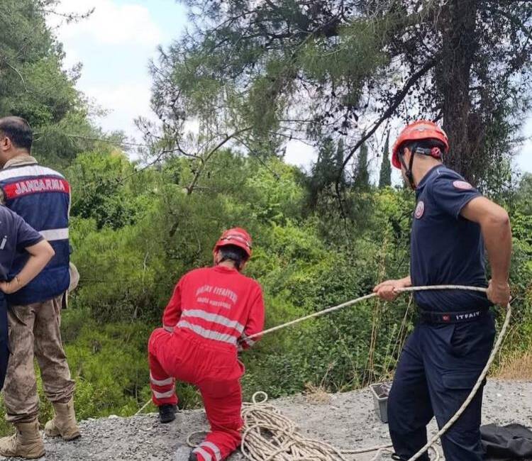 Hatay'ın Dörtyol ilçesinde kontrolden çıkan bir otomobilin uçurumdan ağaçlık alana