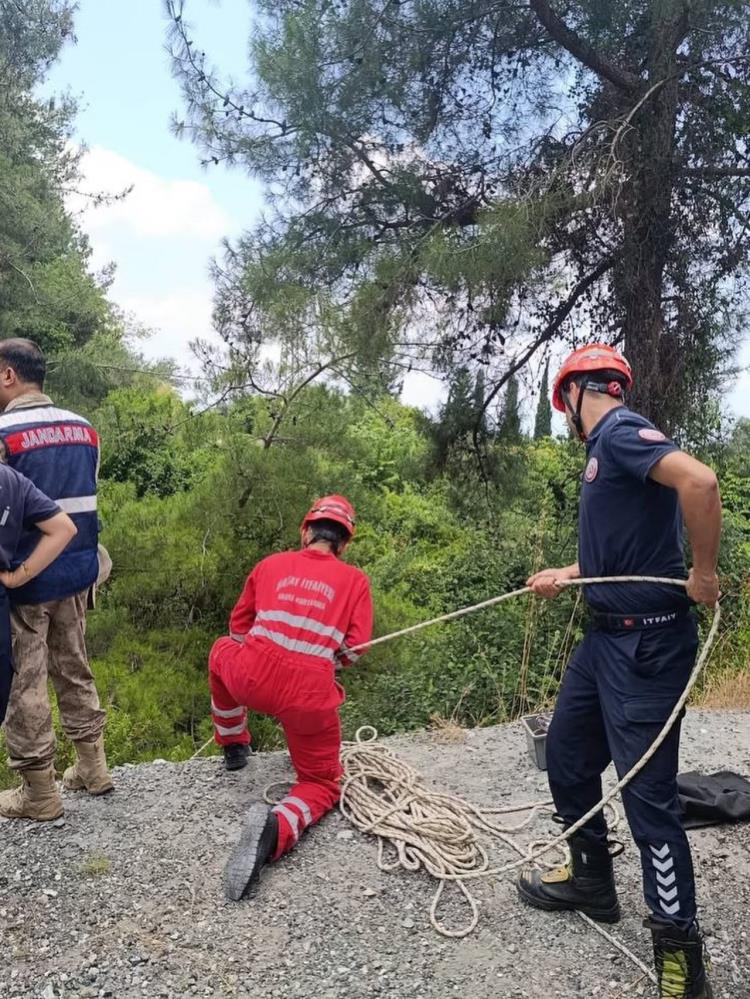 Hatay'ın Dörtyol ilçesinde kontrolden çıkan bir otomobilin uçurumdan ağaçlık alana