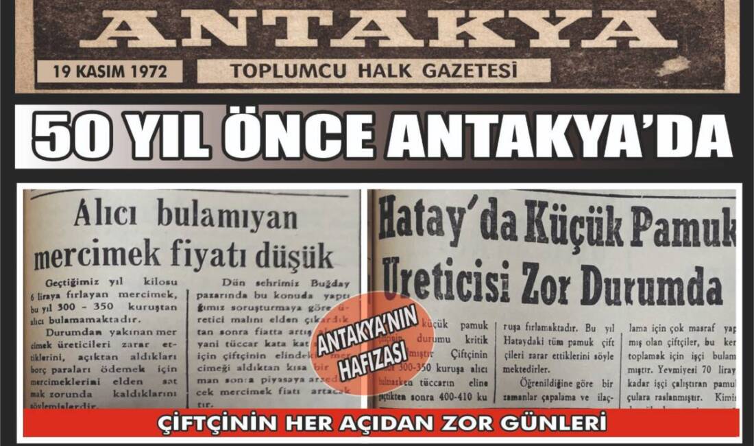 Antakya Gazetesi’nin 19 Kasım 1972 tarihli nüshası, Hatay’daki mercimek ve