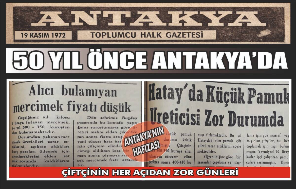 Antakya Gazetesi’nin 19 Kasım 1972 tarihli nüshası, Hatay’daki mercimek ve