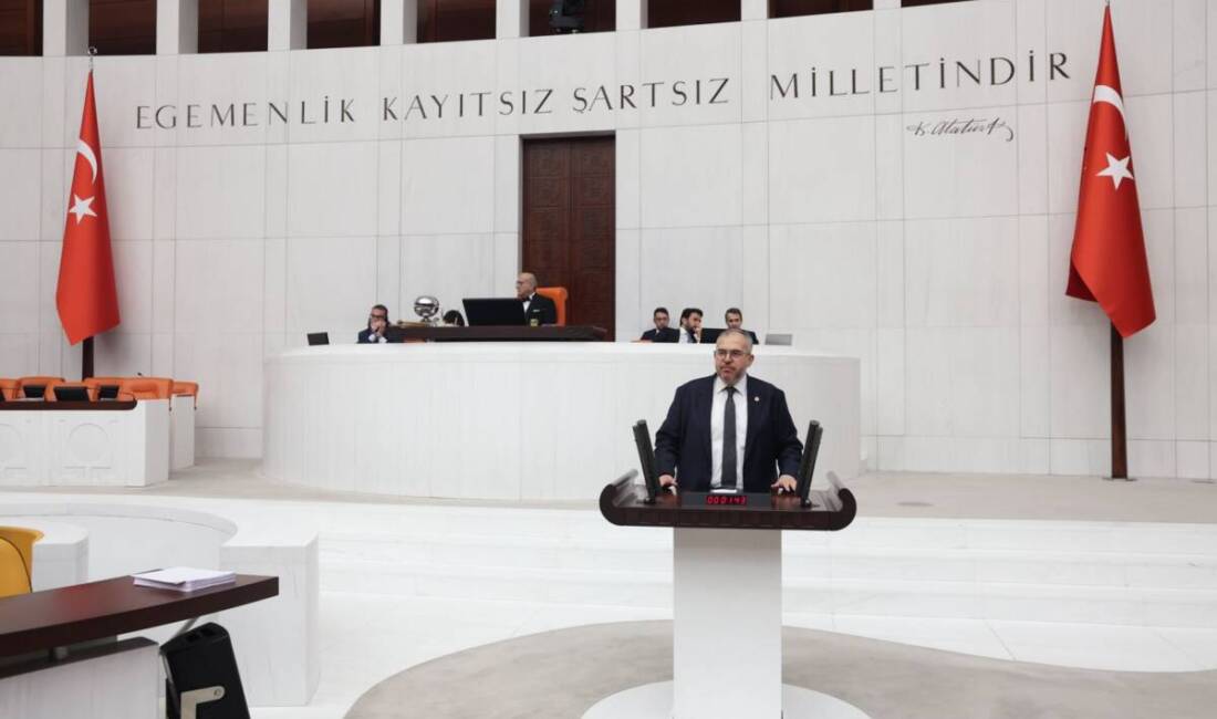 Saadet Partisi Hatay Milletvekili Doç. Dr. Necmettin Çalışkan, TBMM Genel