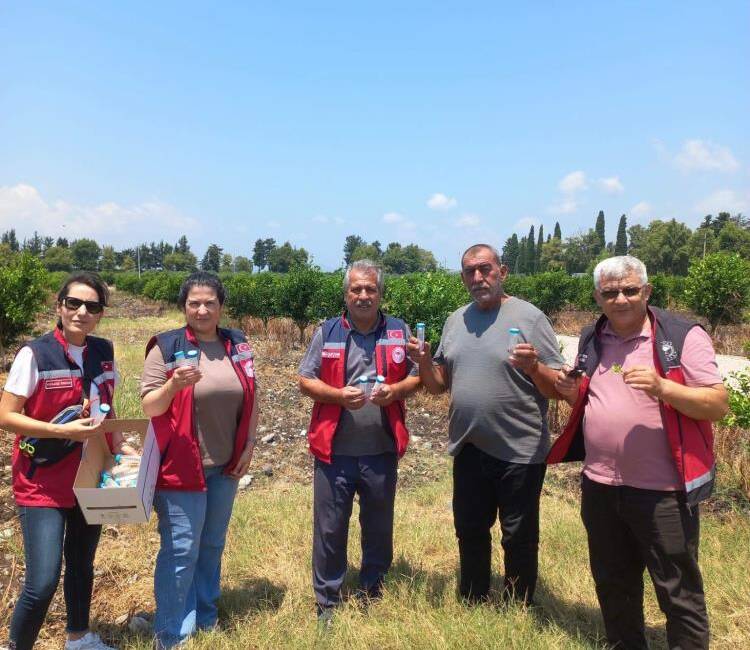 Hatay İl Tarım ve Orman Müdürlüğü, narenciye üretim alanlarında kimyasal