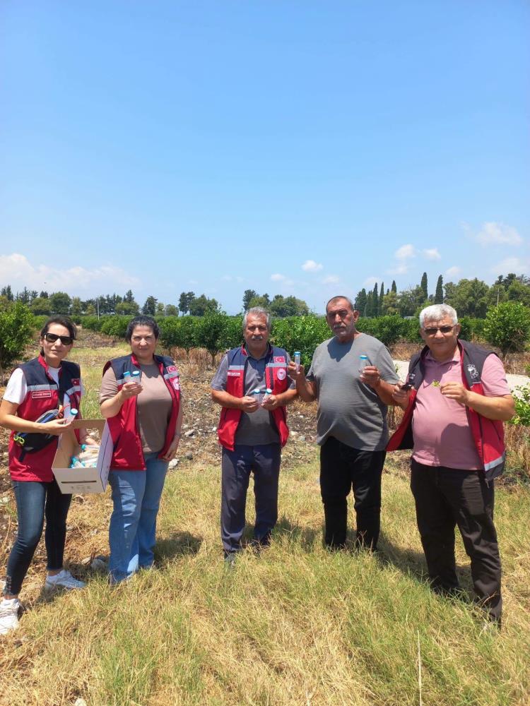 Hatay İl Tarım ve Orman Müdürlüğü, narenciye üretim alanlarında kimyasal