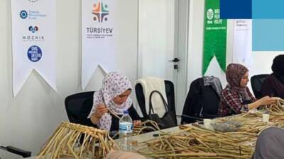 Asi Nehri ve Kırıkhan Gölbaşı Gölü’nü kaplayan istilacı su sümbülleri,