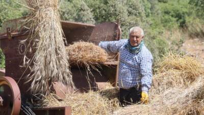 Hatay'da buğday hasadının son aşamasında üreticiler, 40 dereceyi aşan sıcaklıkta