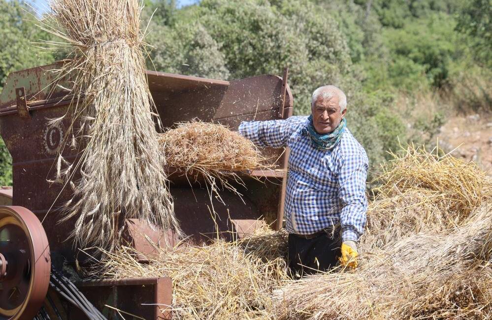 Hatay'da buğday hasadının son aşamasında üreticiler, 40 dereceyi aşan sıcaklıkta