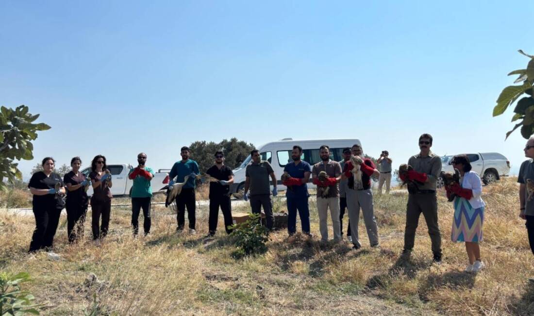 Hatay'da yaralı ve bitkin halde bulunan 18 yaban kuşu, tedavi