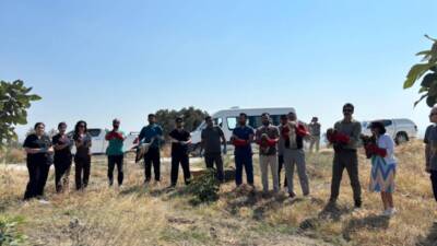 Hatay'da yaralı ve bitkin halde bulunan 18 yaban kuşu, tedavi