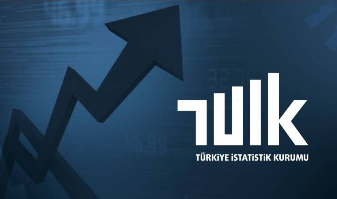 Türkiye İstatistik Kurumu (TÜİK), 2026 yılı mayıs ayına ilişkin ücretli