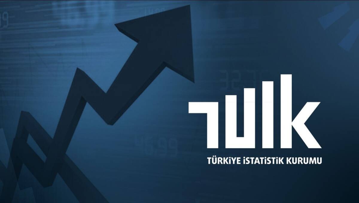 Türkiye İstatistik Kurumu (TÜİK), 2026 yılı mayıs ayına ilişkin ücretli