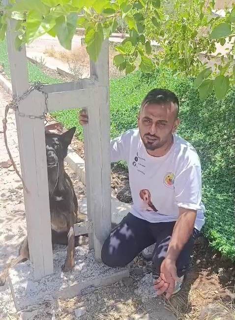 Hatay'ın Kırıkhan ilçesinde sahipli bir Belçika kurdu cinsi köpeğin elektrik