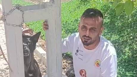 Hatay'ın Kırıkhan ilçesinde sahipli bir Belçika kurdu cinsi köpeğin elektrik