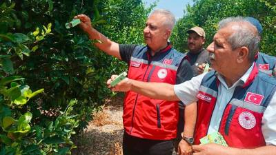 İlimizde narenciye zararlılarıyla etkin ve çevre dostu mücadele kapsamında oluşturulan