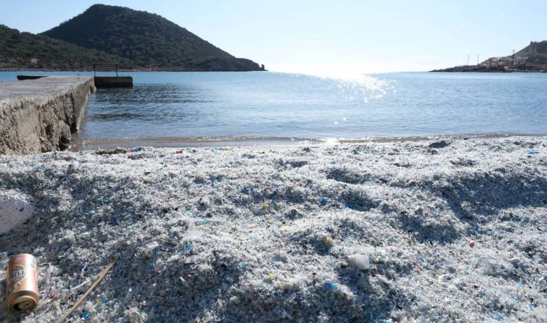 Mersin Çevre Platformu ile Doğu Akdeniz Çevre Dernekleri’nin (DAÇE) ortak