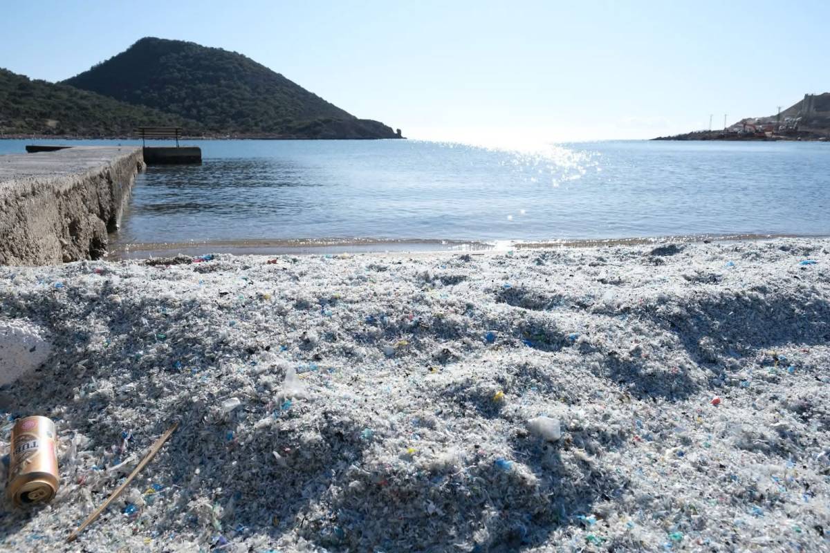 Mersin Çevre Platformu ile Doğu Akdeniz Çevre Dernekleri’nin (DAÇE) ortak