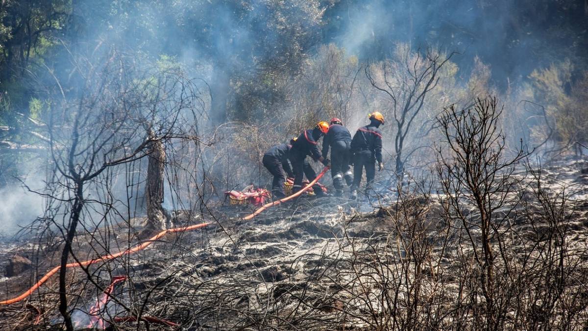 Avrupa'nın güneyinde etkili olan sıcak hava dalgası ve kuraklık, orman