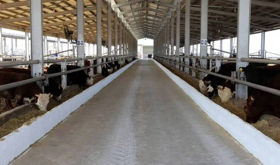 Tarım ve Orman Bakanlığı, hayvan hastalıkları nedeniyle yapılacak tazminat ödemelerine