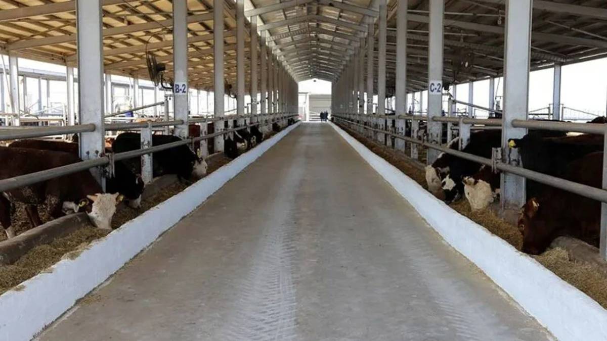 Tarım ve Orman Bakanlığı, hayvan hastalıkları nedeniyle yapılacak tazminat ödemelerine