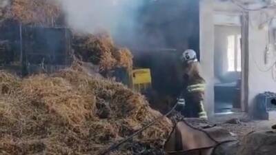 Hatay'ın Reyhanlı ilçesinde bir ahırın samanlık bölümünde çıkan yangın, itfaiye