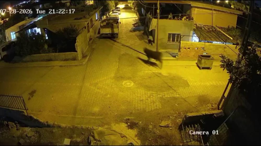 Hatay’ın Antakya ilçesinde ahırdan kaçan angus cinsi büyükbaş hayvan, mahallede