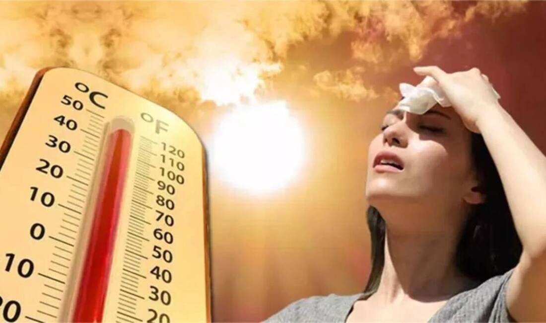 Avrupa’da etkili olan rekor sıcaklıklar sağlık, tarım, enerji ve orman