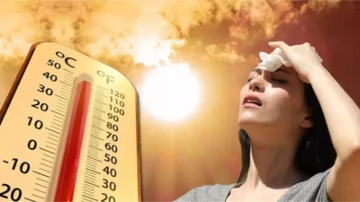 Avrupa’da etkili olan rekor sıcaklıklar sağlık, tarım, enerji ve orman
