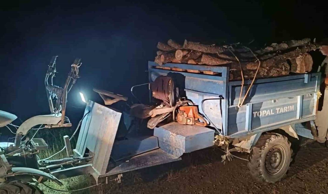 Hatay’ın Antakya ilçesinde ormanlık alanda izinsiz ağaç keserek tahribata neden