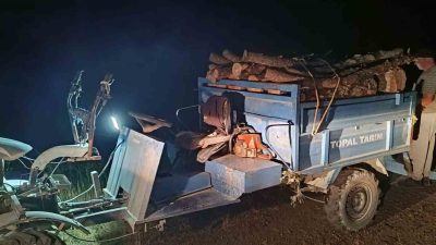 Hatay’ın Antakya ilçesinde ormanlık alanda izinsiz ağaç keserek tahribata neden