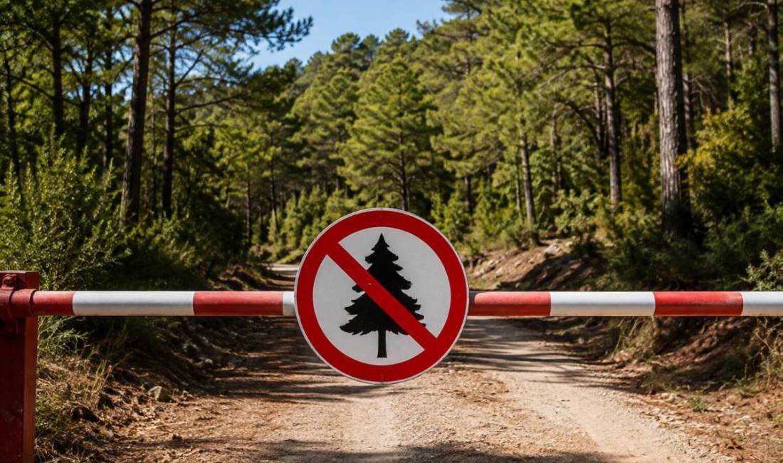 Hatay’da orman yangını riskine karşı ormanlık alanlara giriş yasağının 31