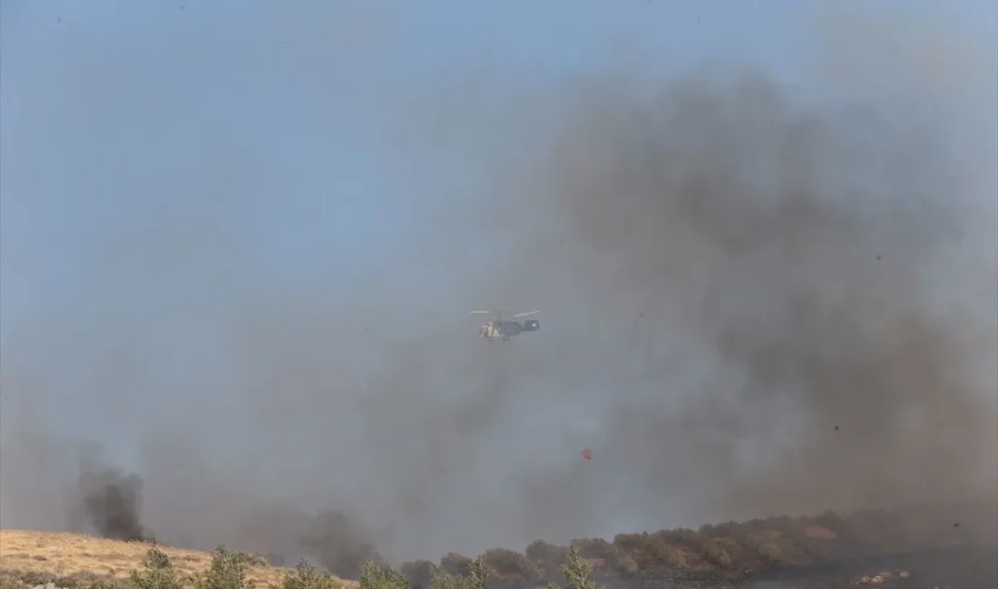 Hatay’ın Antakya ilçesinde ormanlık alanda çıkan yangın kontrol altına alınırken,