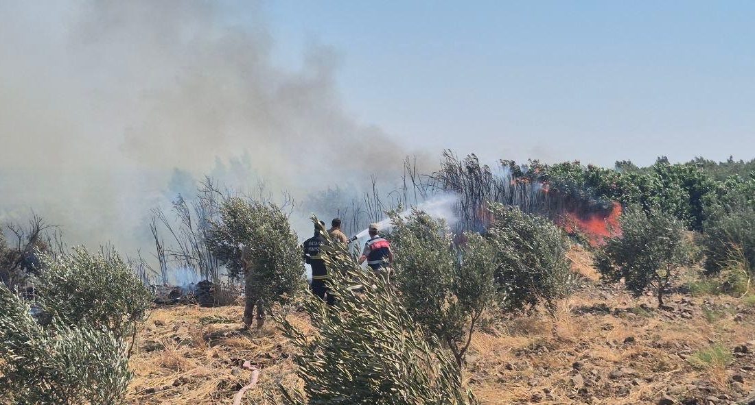 Hatay’ın Kırıkhan ilçesinde zeytinlik alanda çıkan yangın, ekiplerin hızlı müdahalesiyle