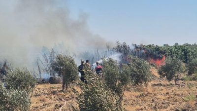 Hatay’ın Kırıkhan ilçesinde zeytinlik alanda çıkan yangın, ekiplerin hızlı müdahalesiyle