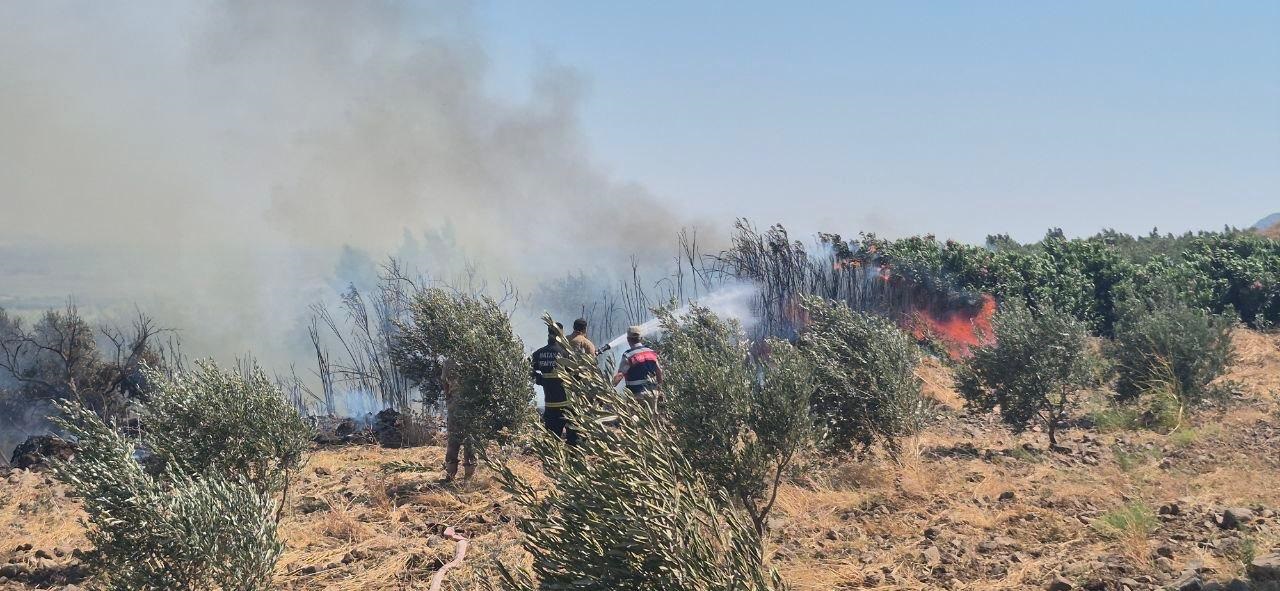 Hatay’ın Kırıkhan ilçesinde zeytinlik alanda çıkan yangın, ekiplerin hızlı müdahalesiyle