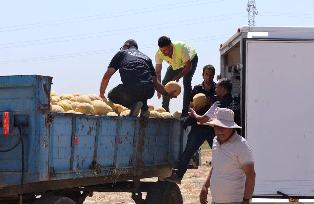 Hatay Büyükşehir Belediyesi (HBB), sosyal belediyecilik anlayışı kapsamında hem üreticiyi