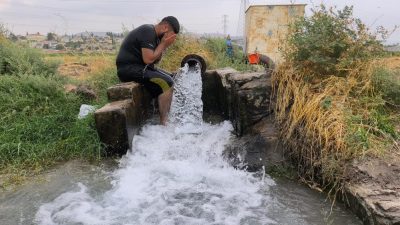 Hatay'ın Reyhanlı ilçesinde etkisini artıran sıcak hava ve yüksek nem,