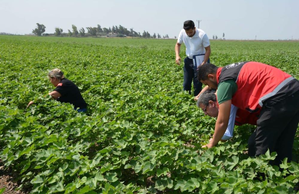 Hatay’da tarımsal üretimin artırılması ve tarım arazilerinin daha verimli kullanılması