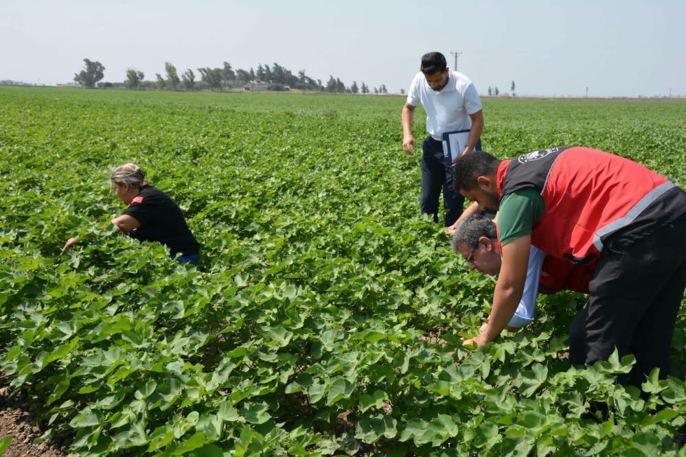 Hatay’da tarımsal üretimin artırılması ve tarım arazilerinin daha verimli kullanılması