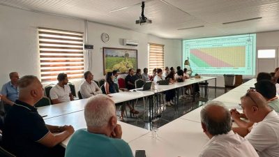 Hatay’da turunçgil üretiminde kaliteyi artırmak ve hasat sürecinde yaşanan ürün