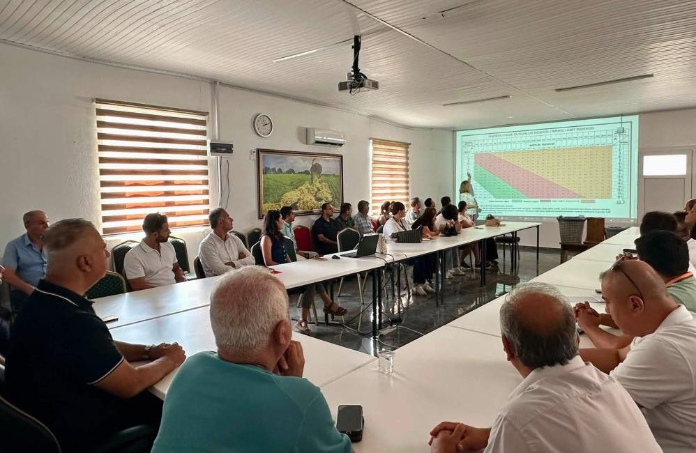 Hatay’da turunçgil üretiminde kaliteyi artırmak ve hasat sürecinde yaşanan ürün