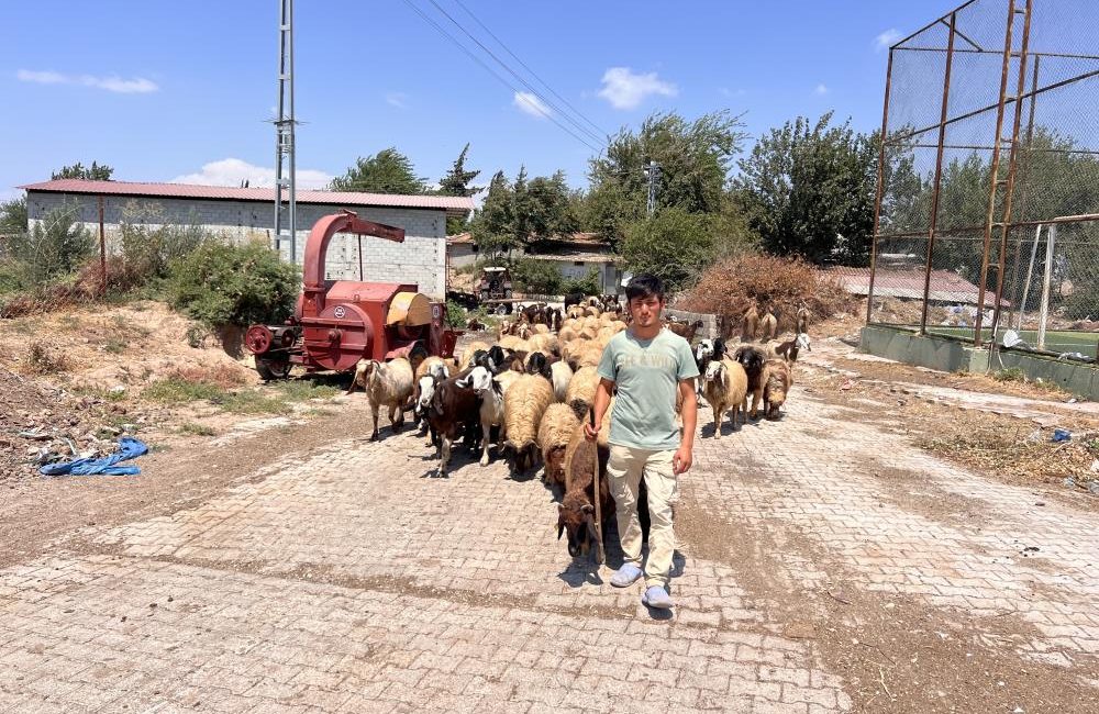 Hatay’ın Kumlu ilçesinde yaşayan 20 yaşındaki Suriyeli Abdurrahman Elrahim, yaklaşık