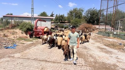 Hatay’ın Kumlu ilçesinde yaşayan 20 yaşındaki Suriyeli Abdurrahman Elrahim, yaklaşık