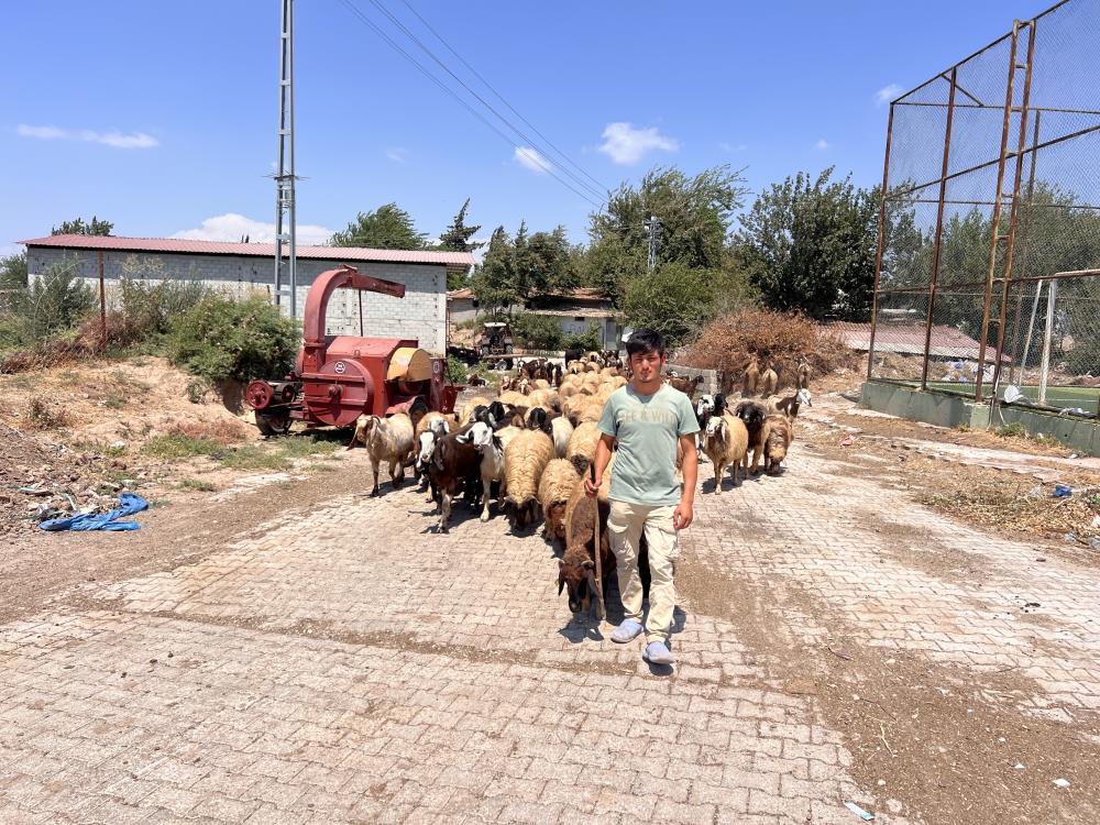 Hatay’ın Kumlu ilçesinde yaşayan 20 yaşındaki Suriyeli Abdurrahman Elrahim, yaklaşık