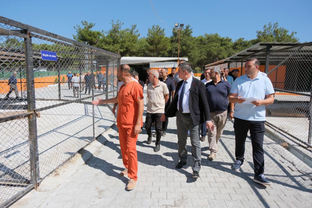 Dörtyol Belediyesi tarafından yapımı tamamlanan Kuzuculu Can Dostlar Sahipsiz Hayvan