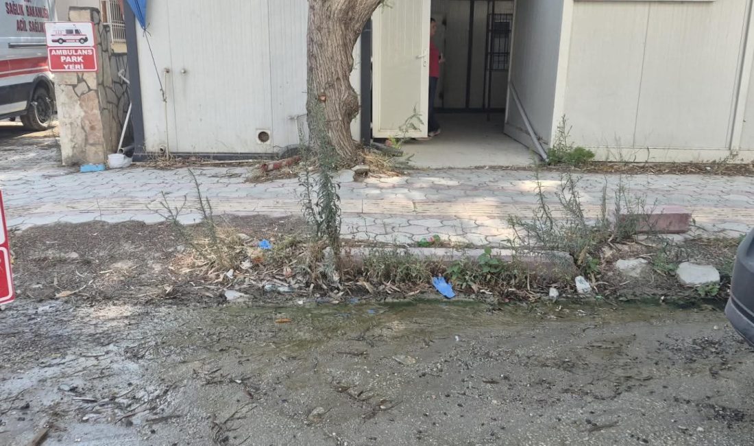 Uluslararası Gazeteciler Cemiyeti Başkanı gazeteci Suna Zeytun, Defne’nin Turunçlu Mahallesi’ndeki